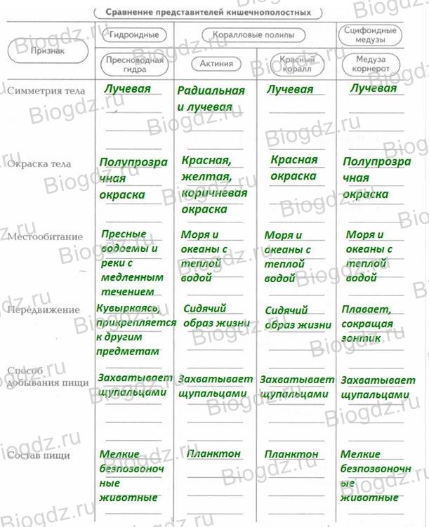 Кракен сайт для наркоманов